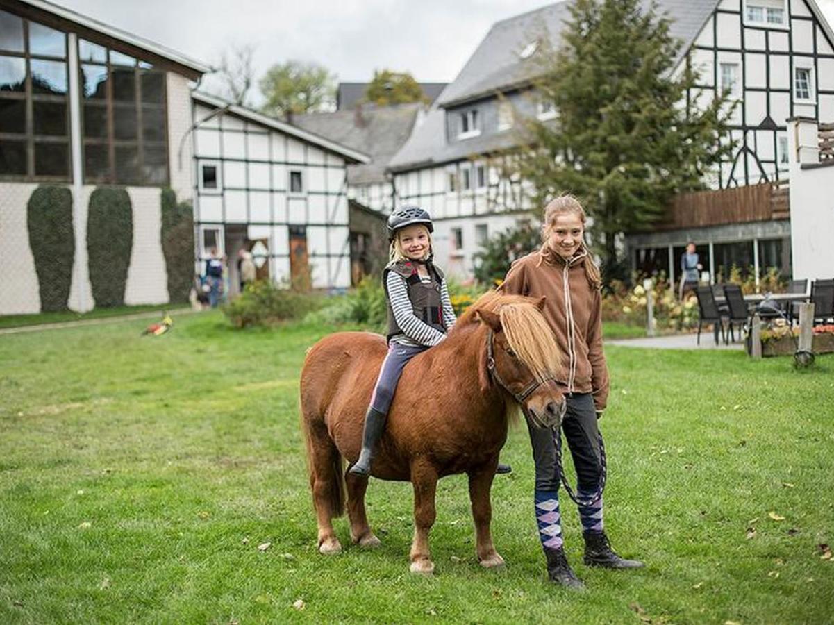 Riekeshof Apartment Schmallenberg Bagian luar foto